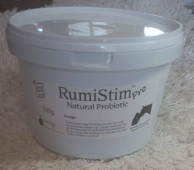RumiStim 20231212